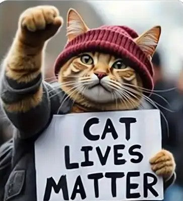 Cat Lives Really Matter – Show Some Love | Cute Cat Lover T-Shirts & Apparel
