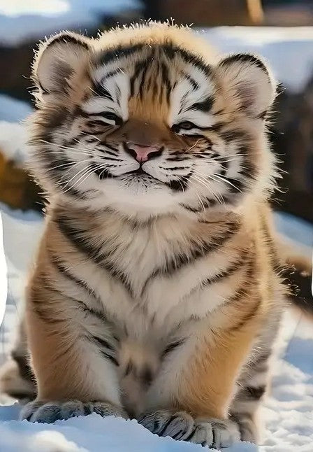 Tiger Lovers T-Shirts – Unique Tiger Apparel for Wildlife Fans